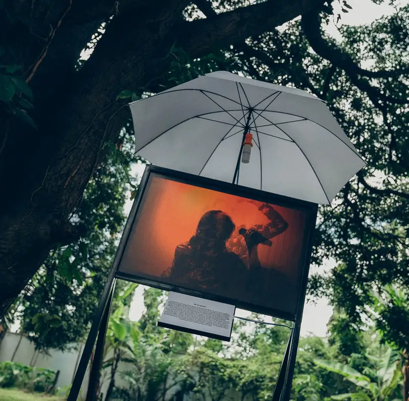Une photographie de femme exposée sous un parapluie, sous un arbre