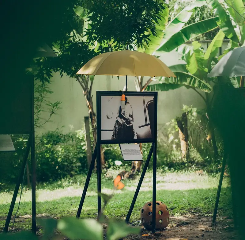 Une photographie exposée sous un parapluie jaune, entre les bananiers